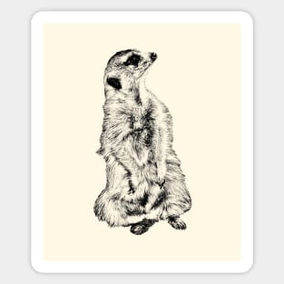 Meerkat Sticker